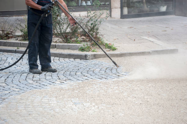 Best Dumpster Area Cleaning  in Hudson, FL